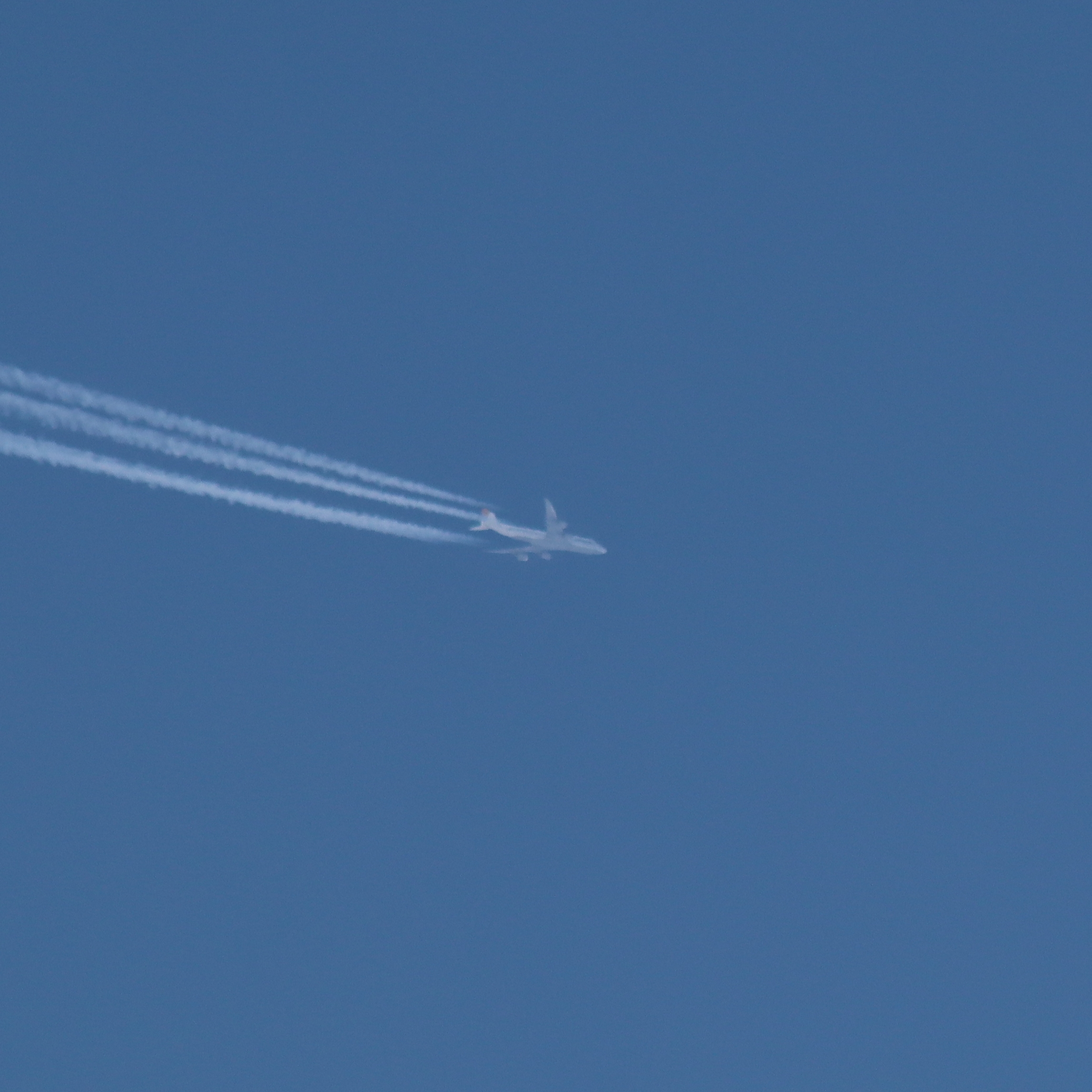 Spotting Highlight