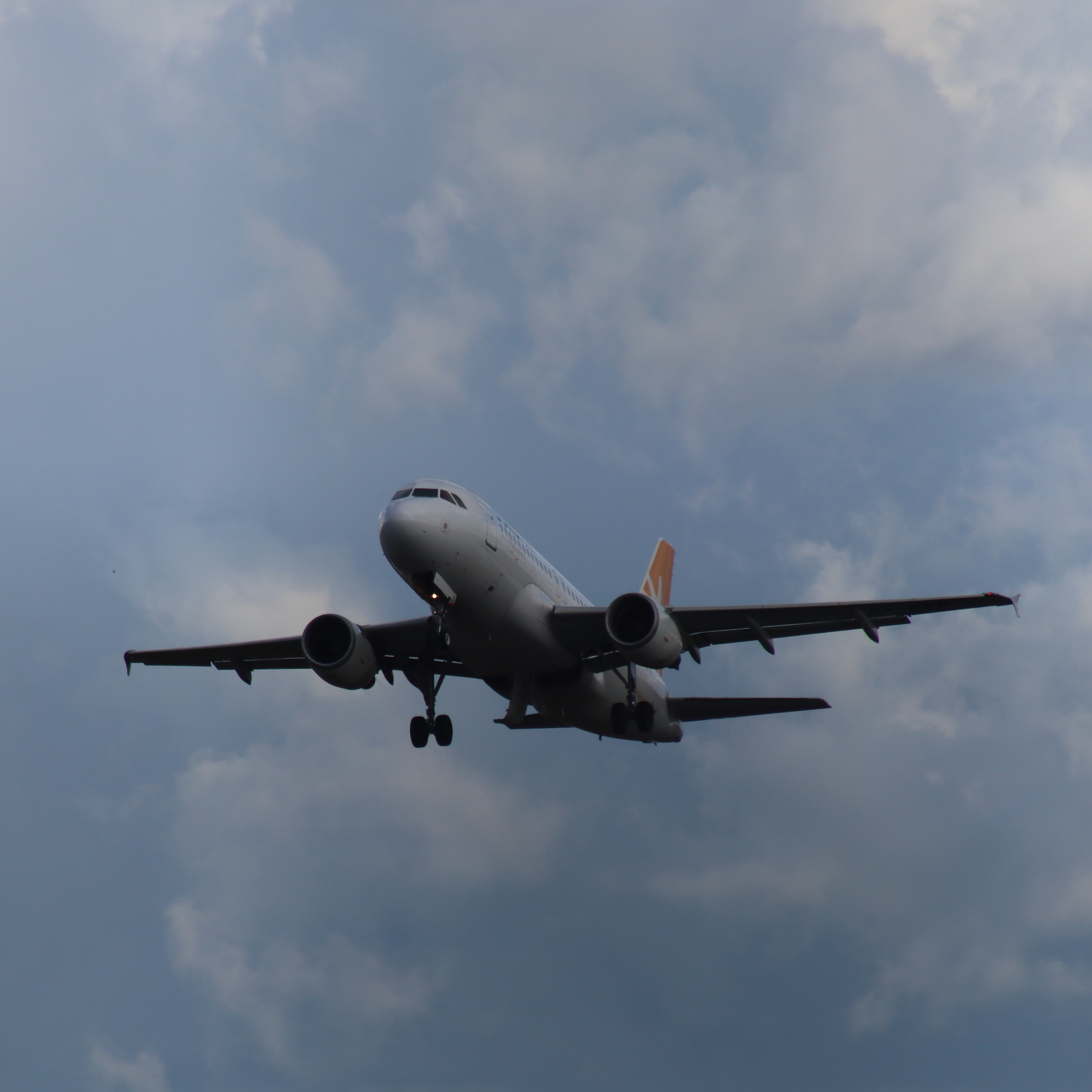 A319